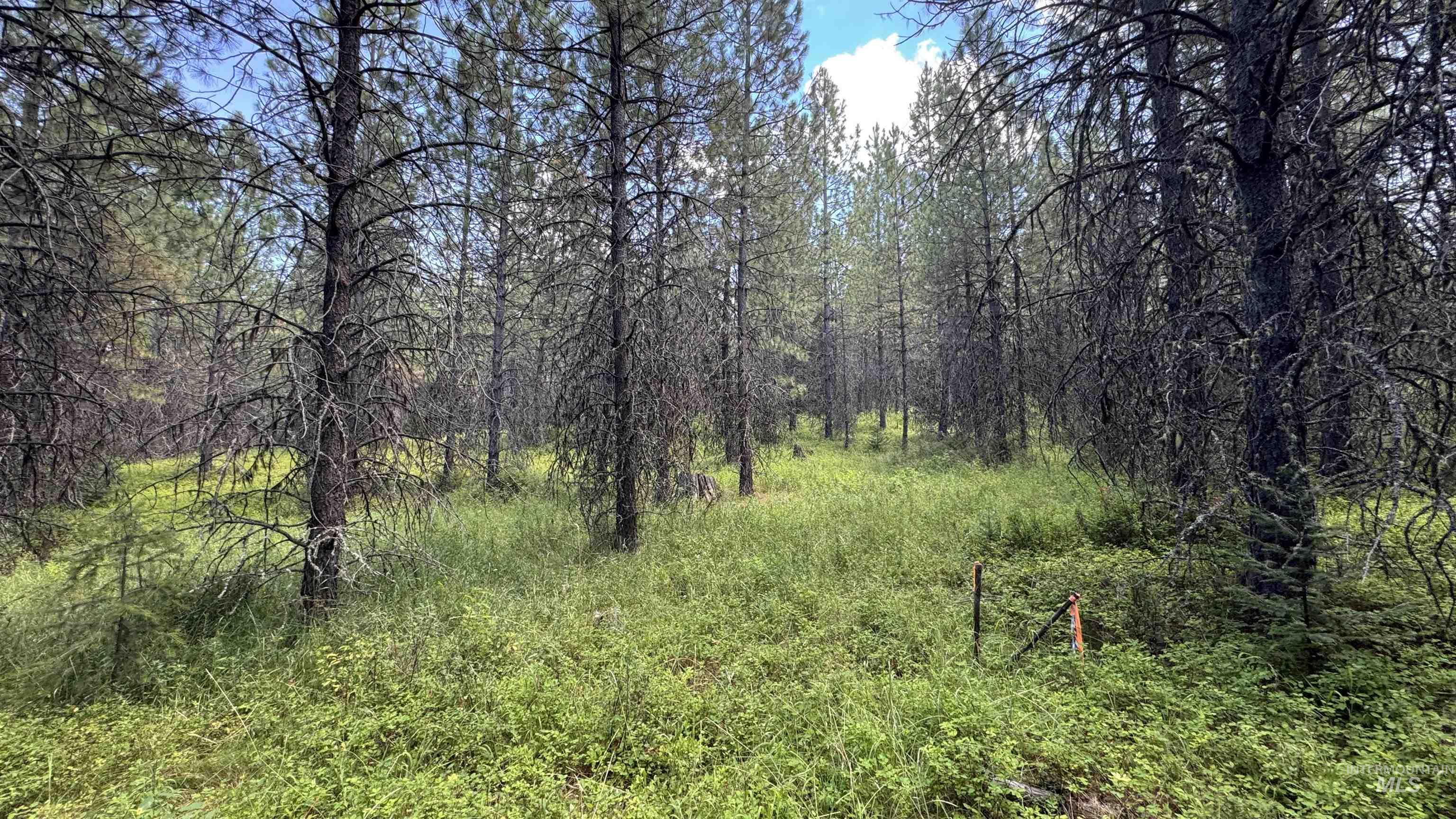 property viewer photo 38