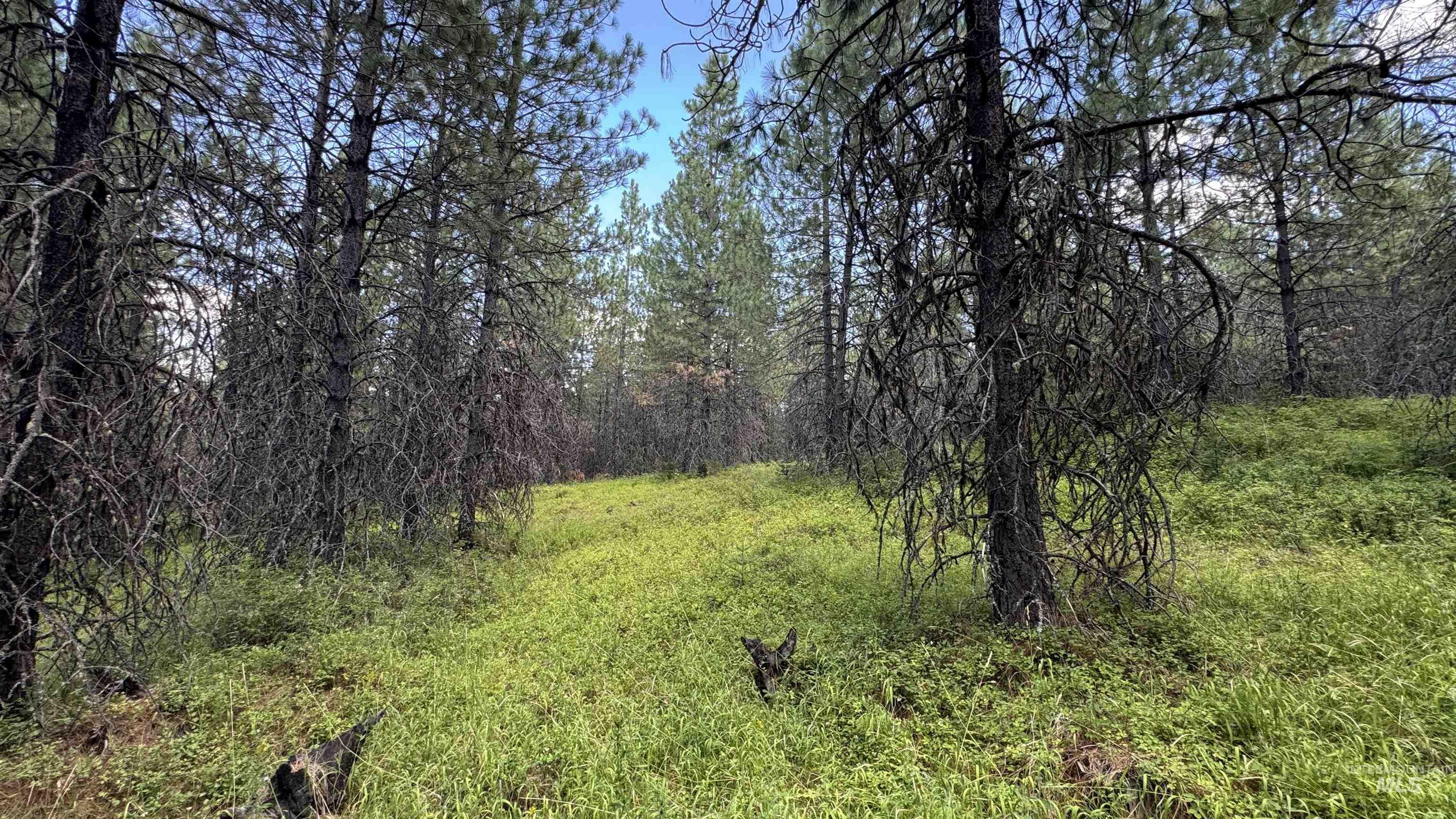 property viewer photo 39