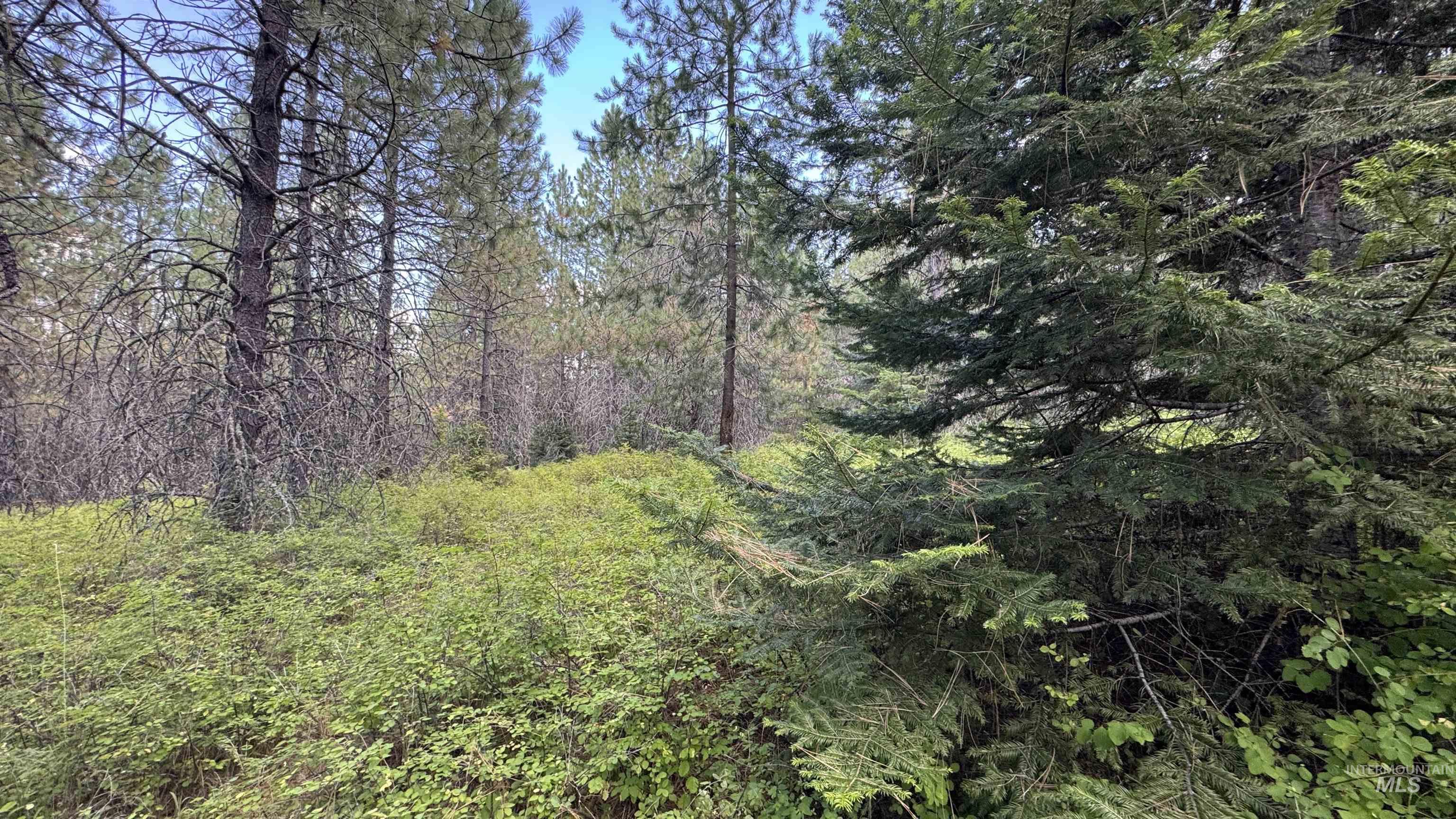 property viewer photo 40