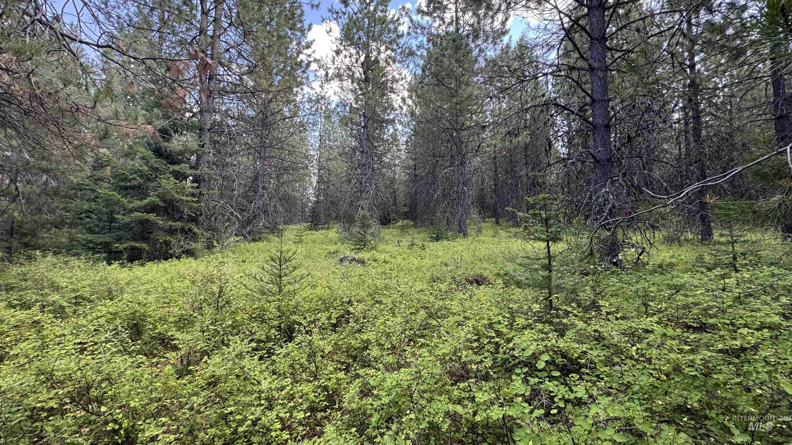 property viewer photo 41