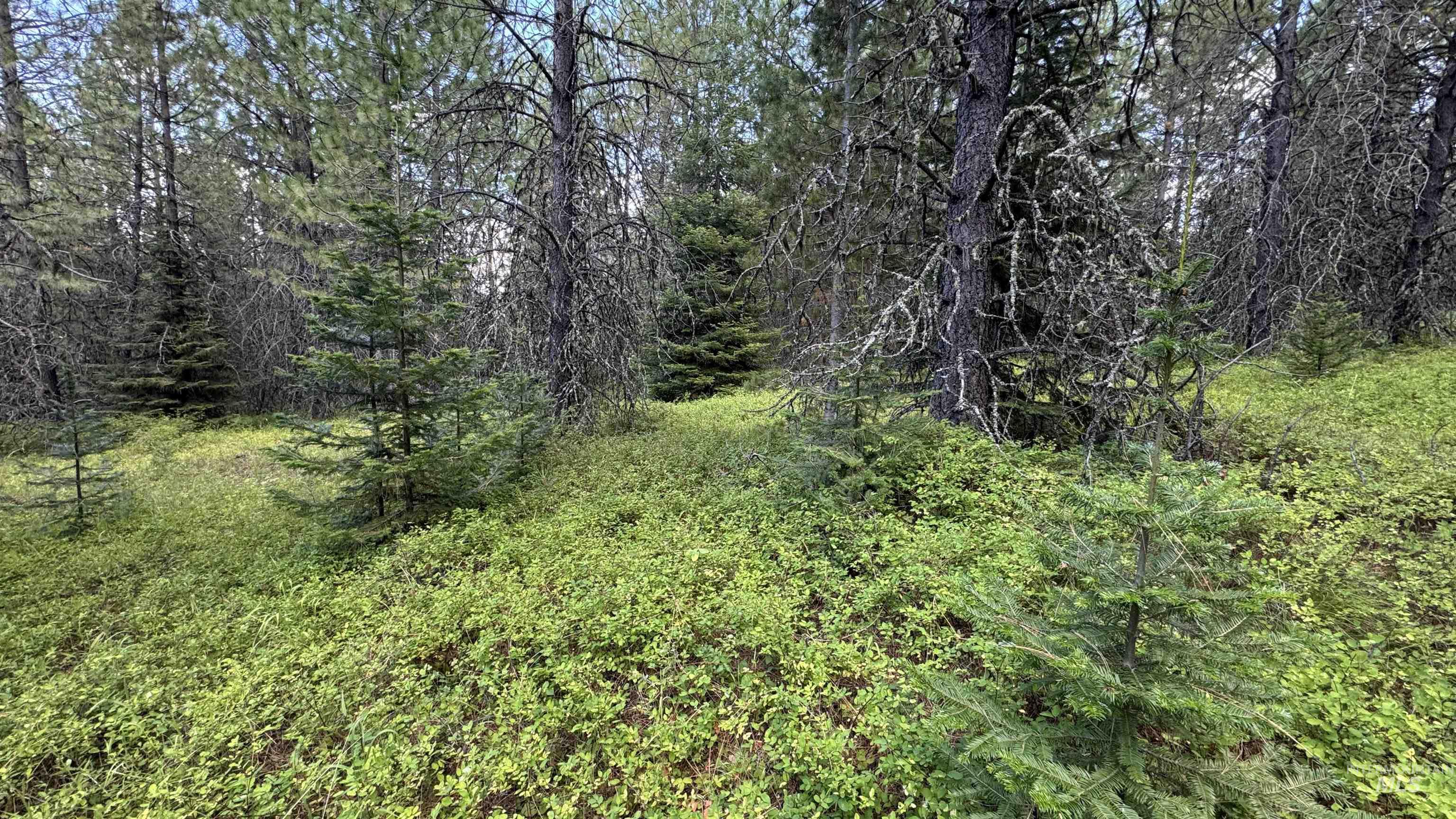 property viewer photo 42