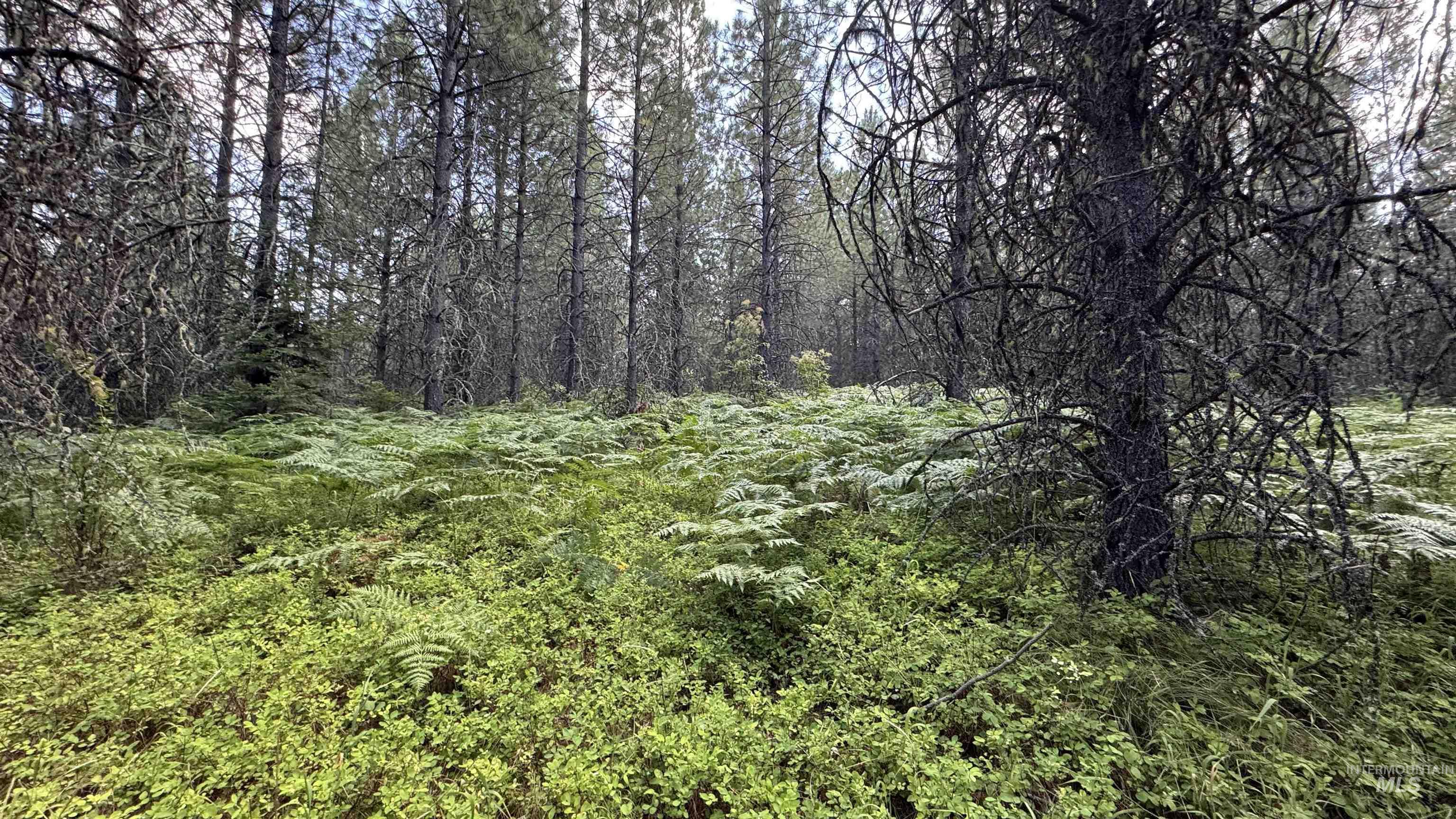 property viewer photo 43