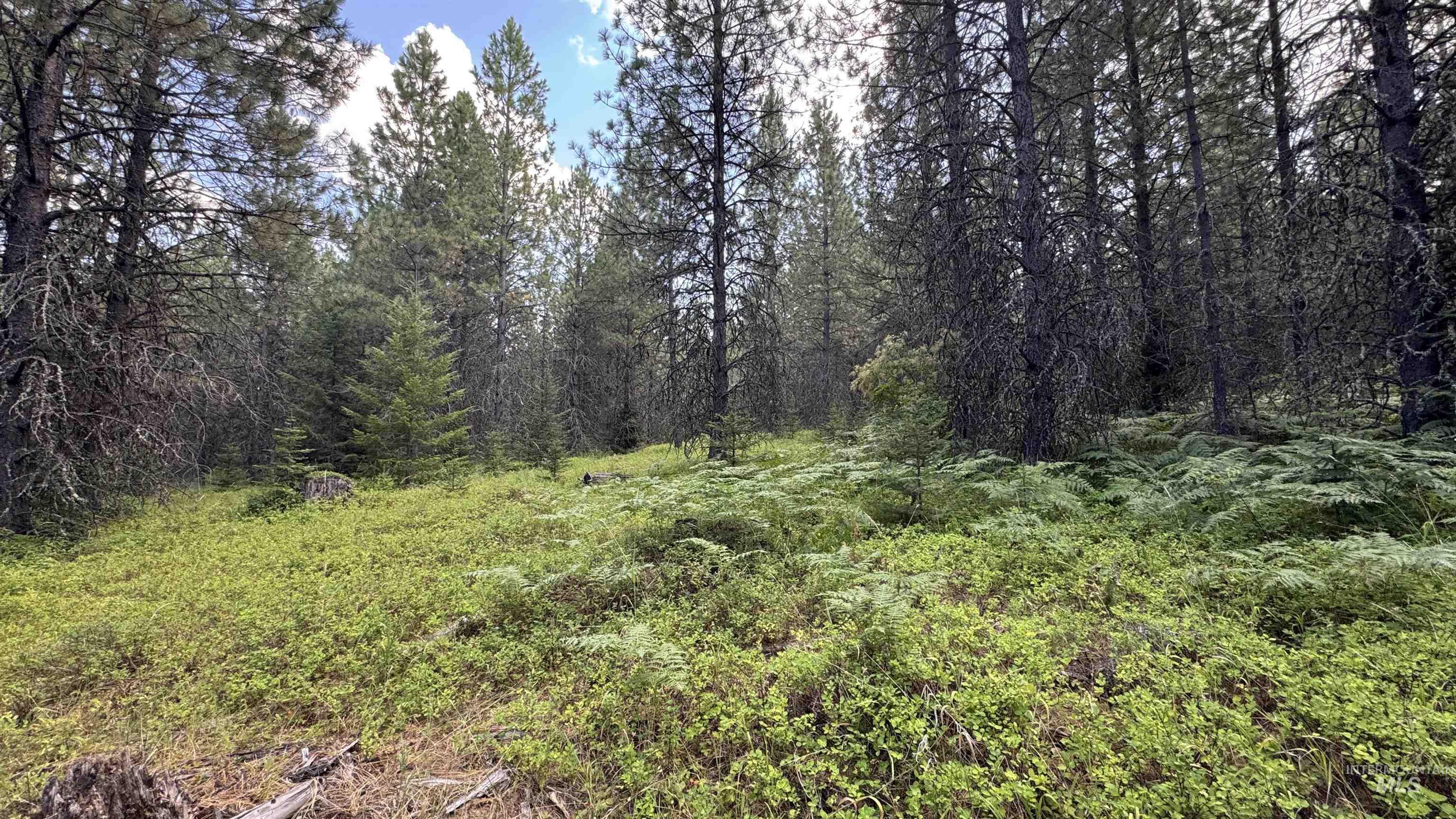 property viewer photo 44