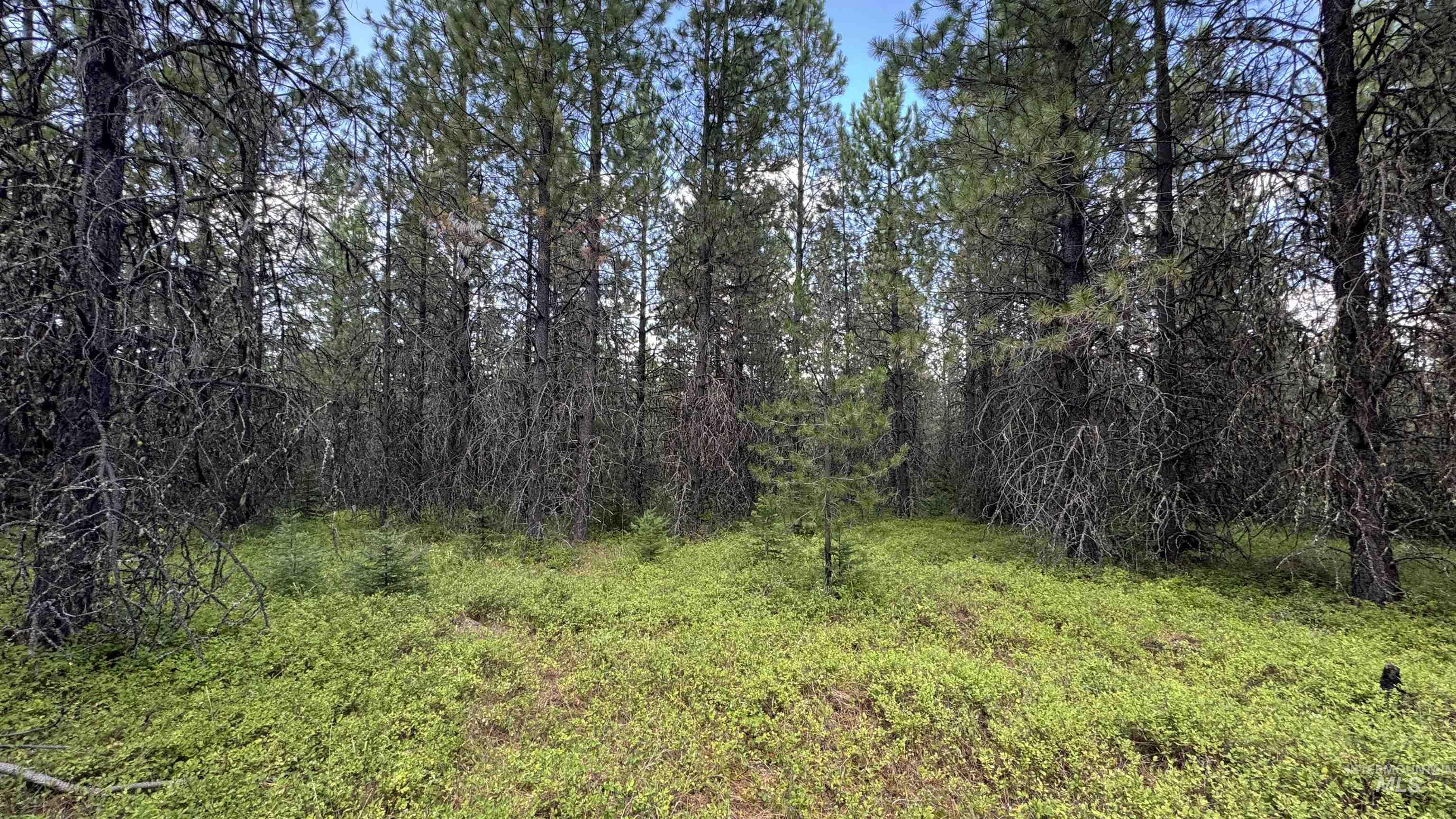 property viewer photo 45