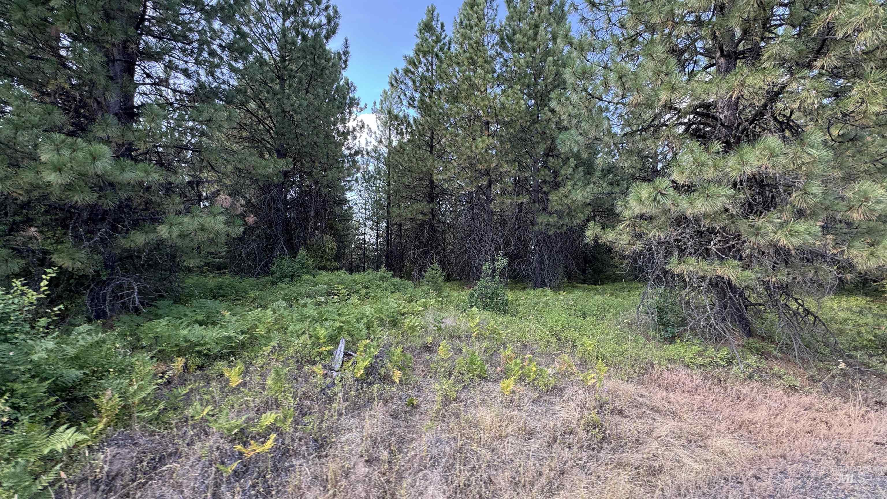 property viewer photo 46