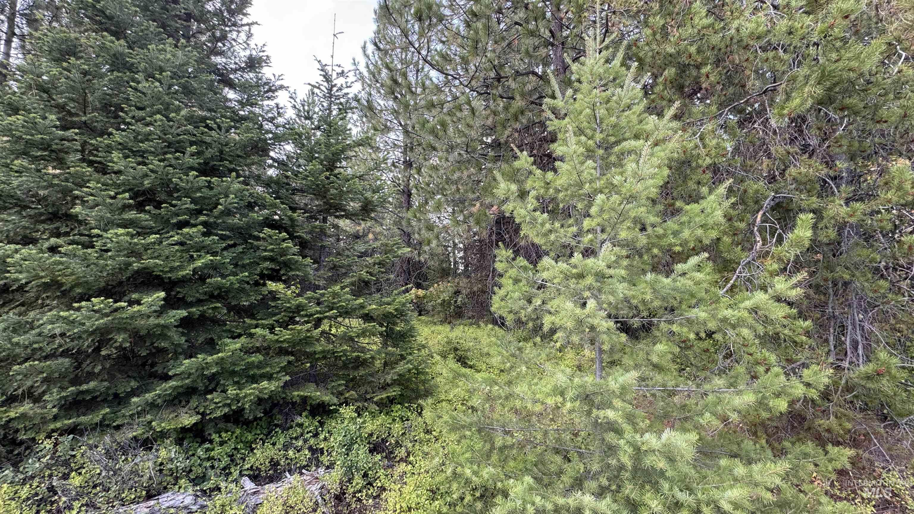 property viewer photo 49