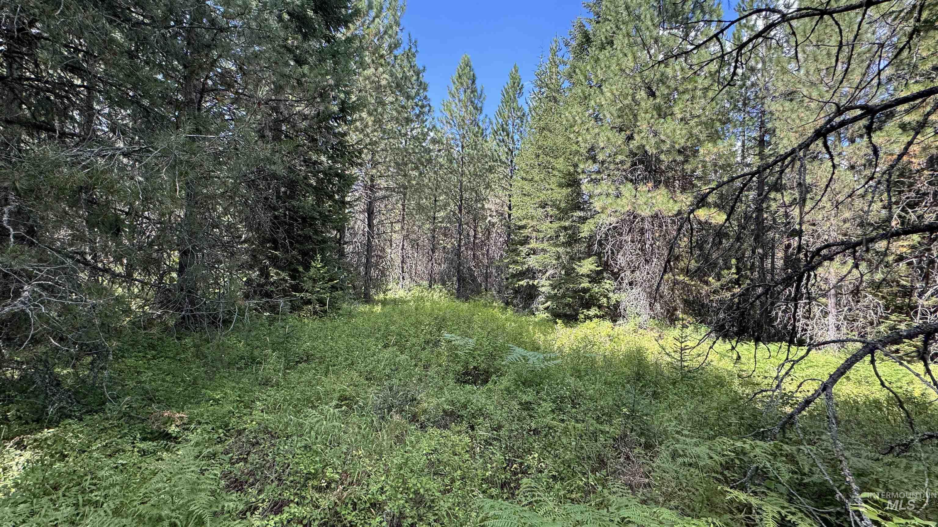 property viewer photo 5