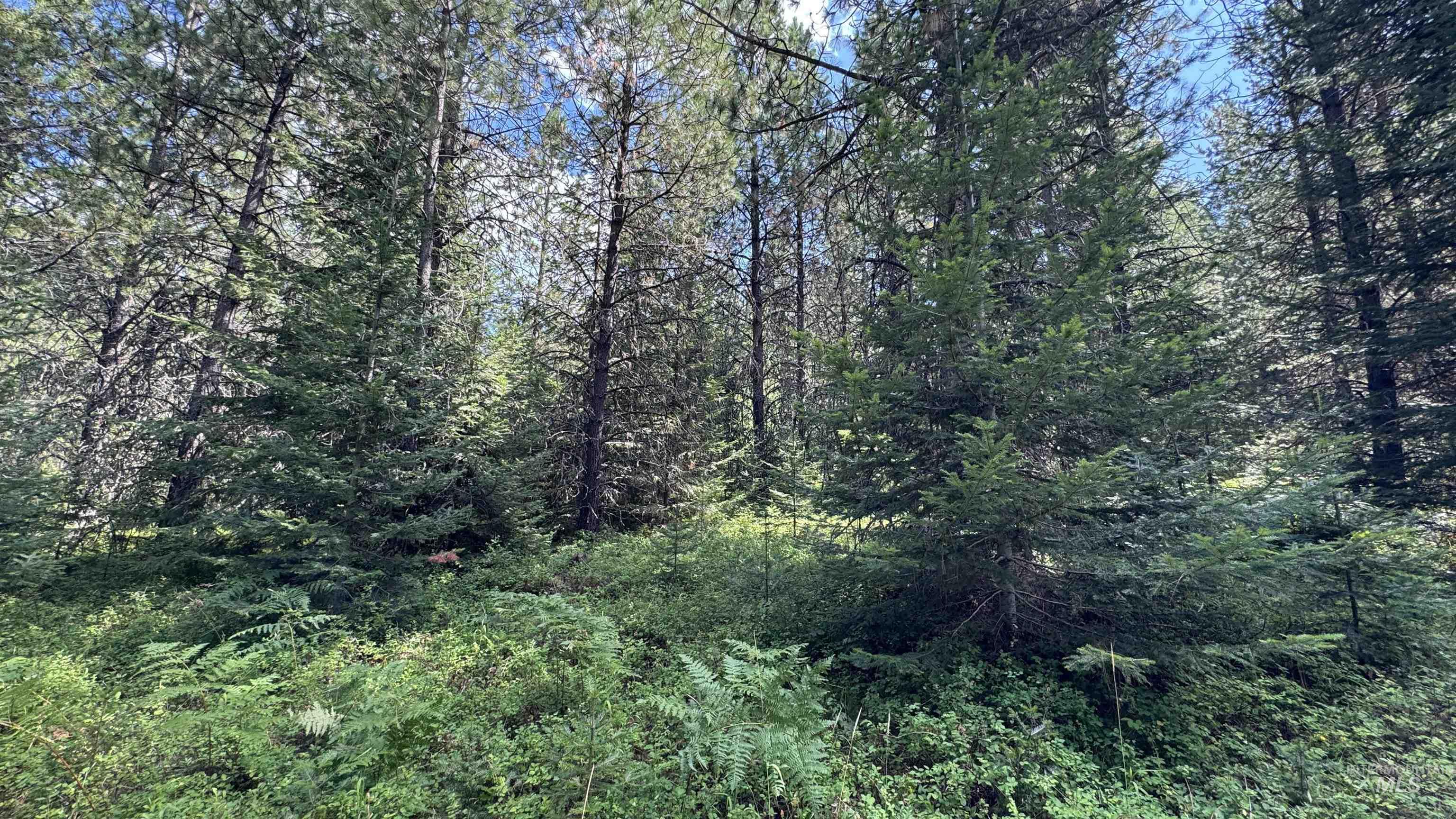 property viewer photo 6