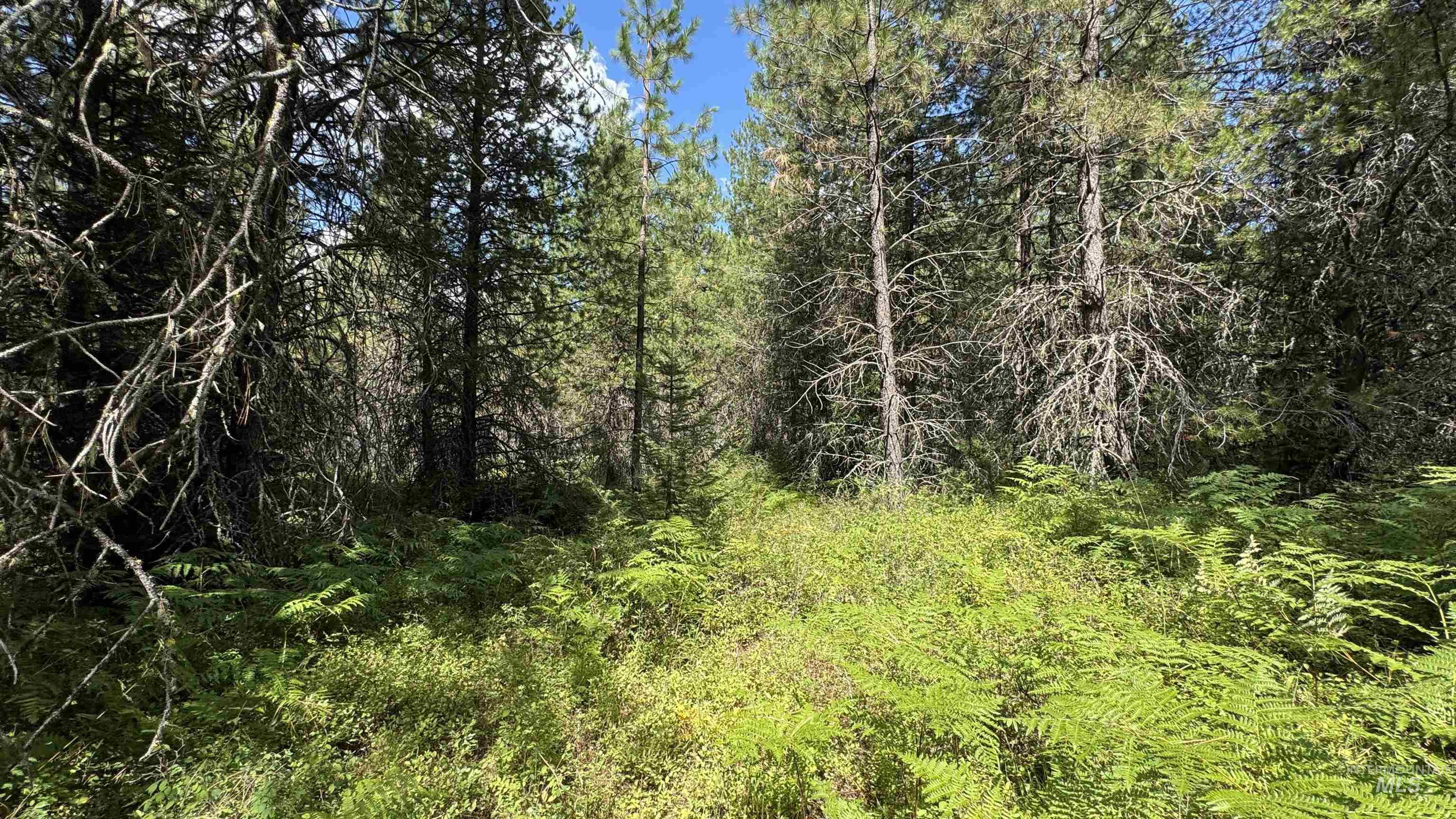 property viewer photo 7