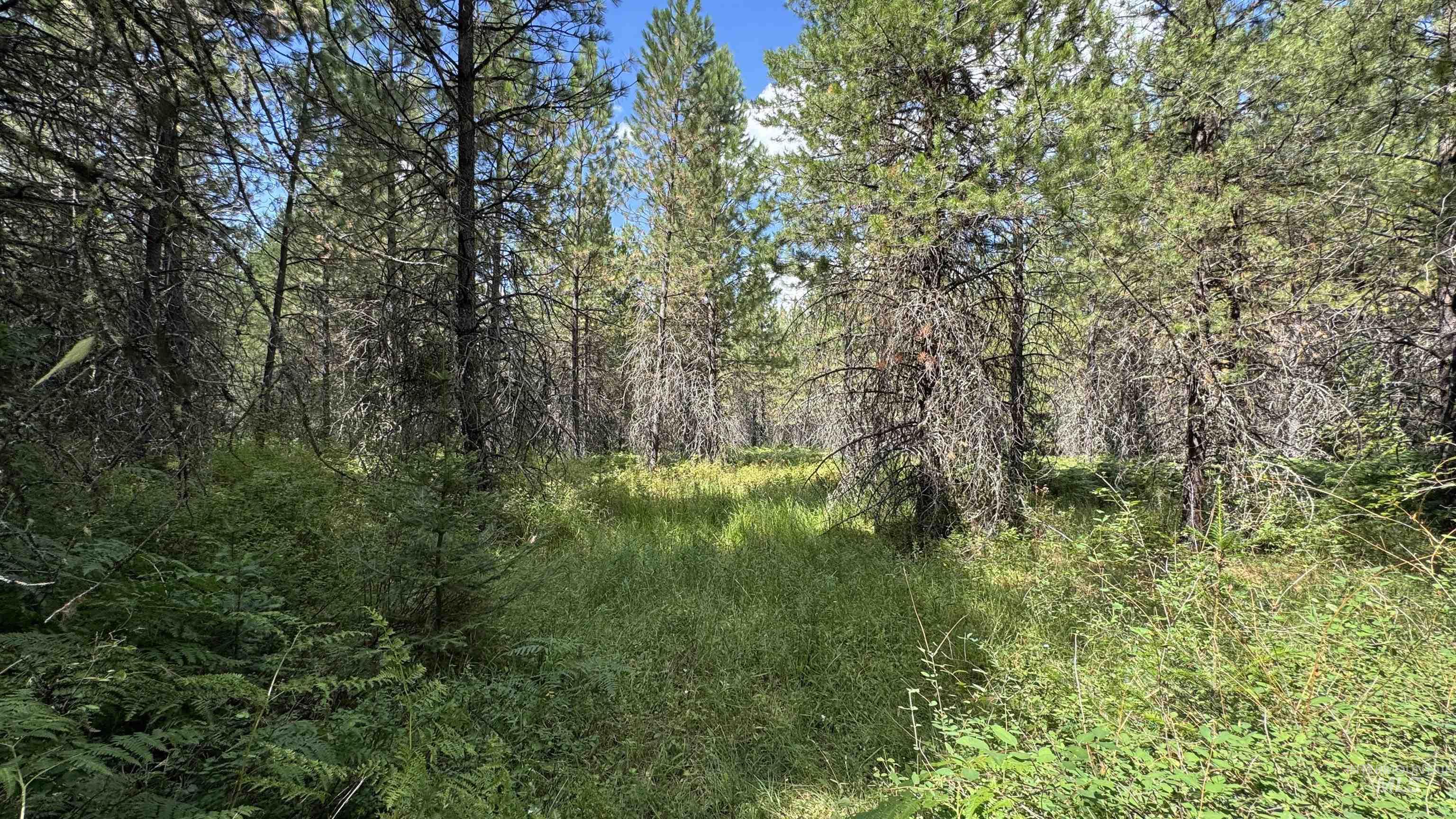 property viewer photo 8