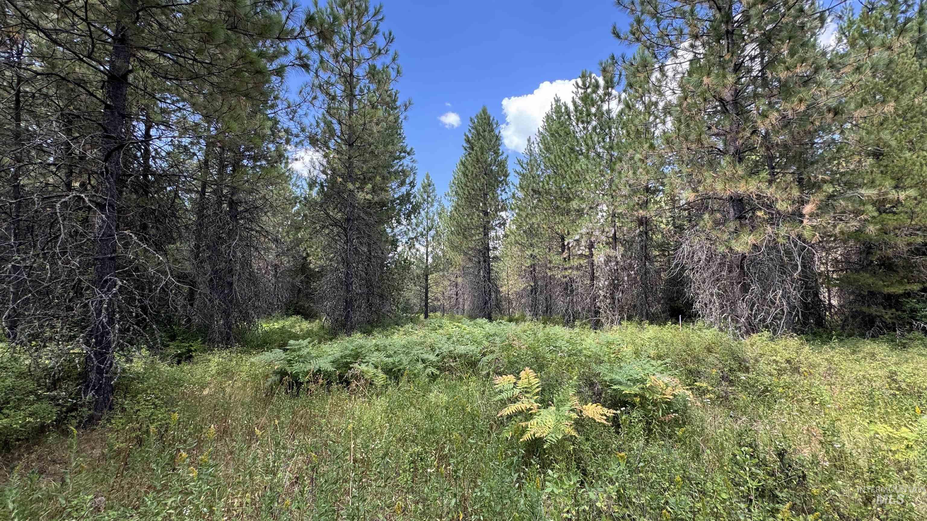 property viewer photo 9