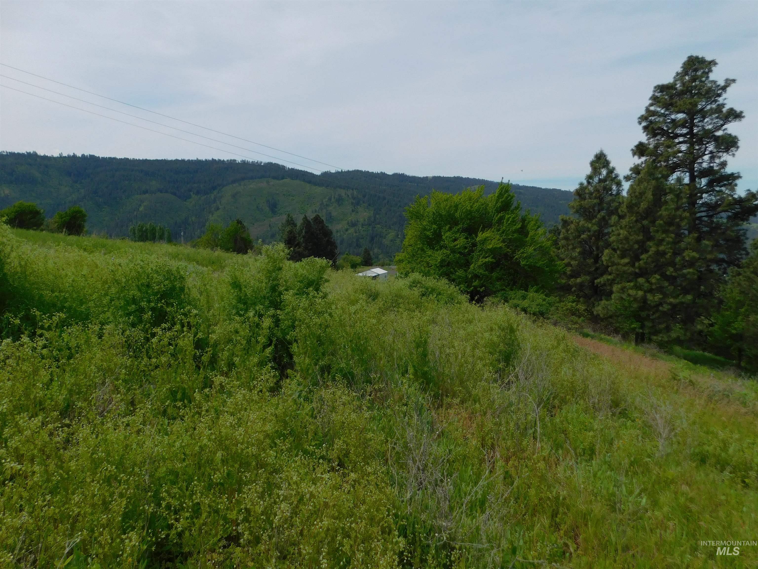 main property photo 10