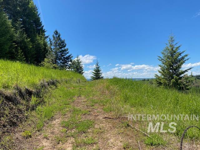 main property photo 12