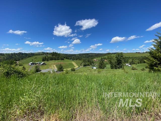 main property photo 13