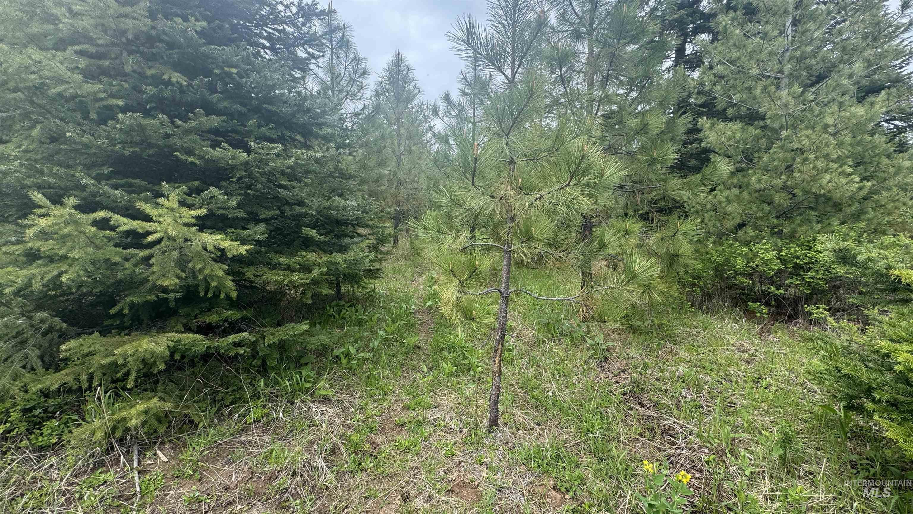 main property photo 40