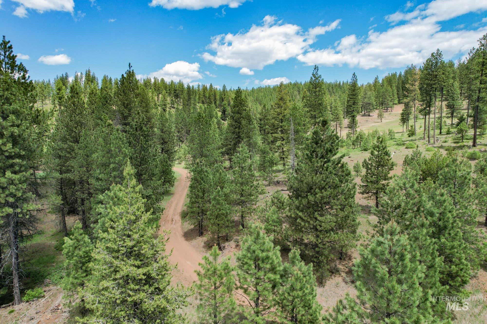 main property photo 13
