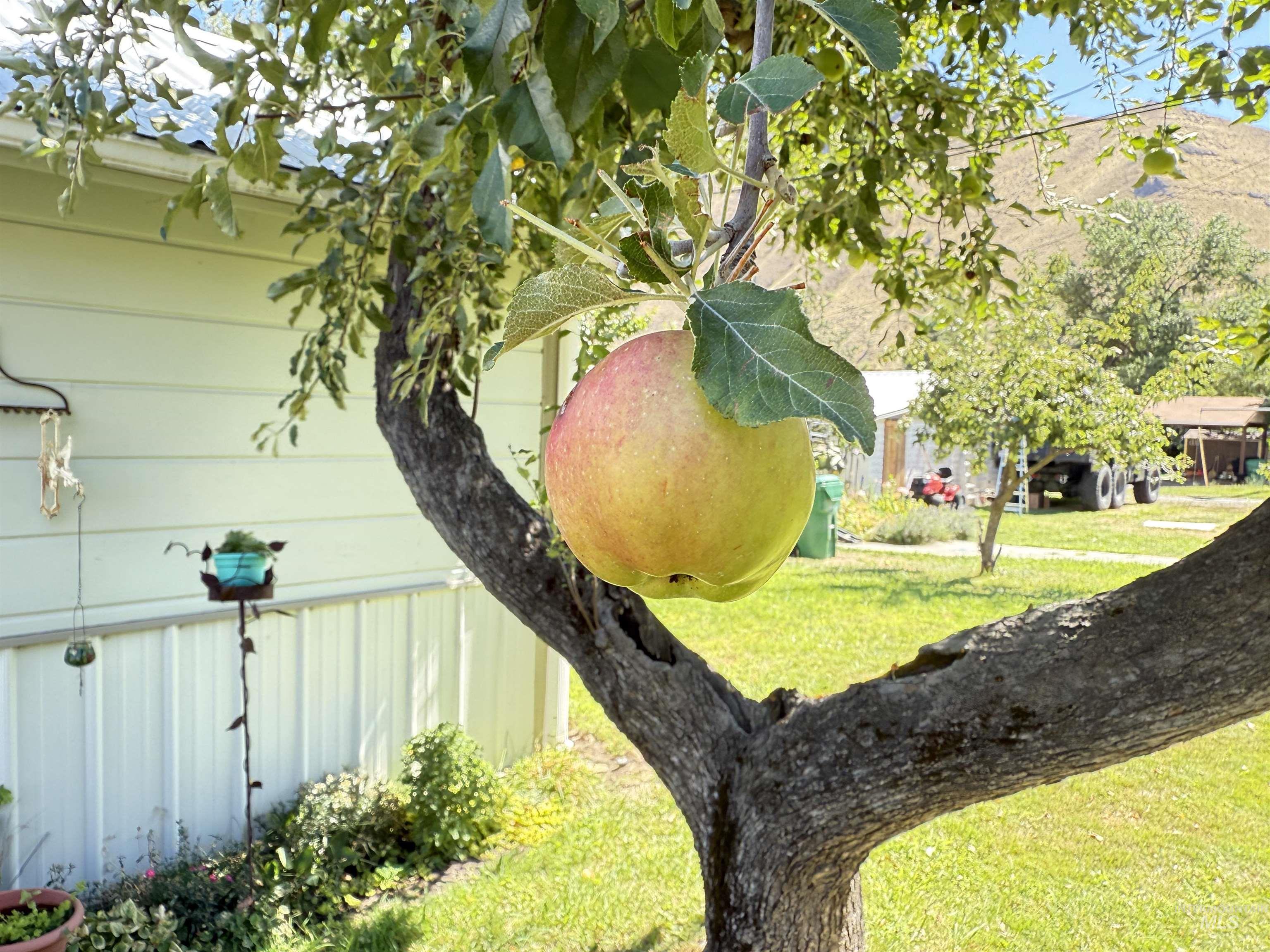 property viewer photo 14