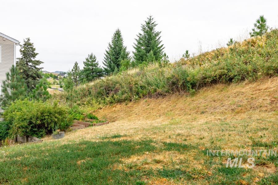 property viewer photo 4