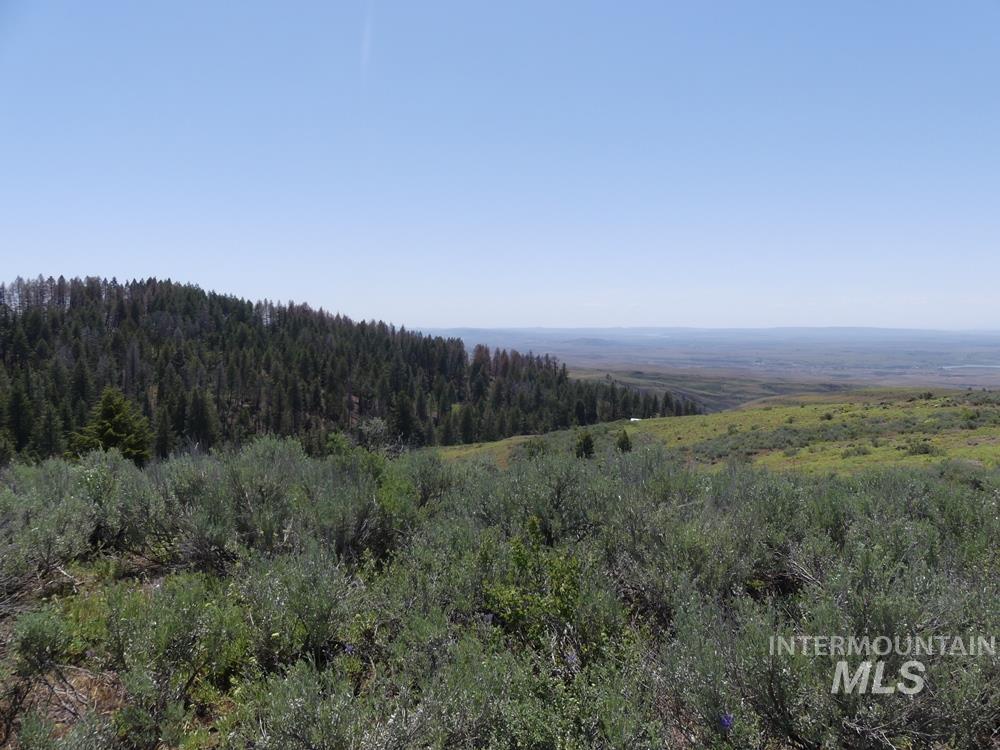 property viewer photo 1