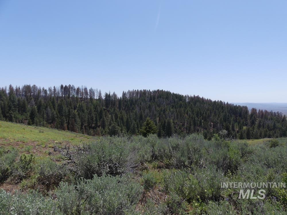 property viewer photo 10