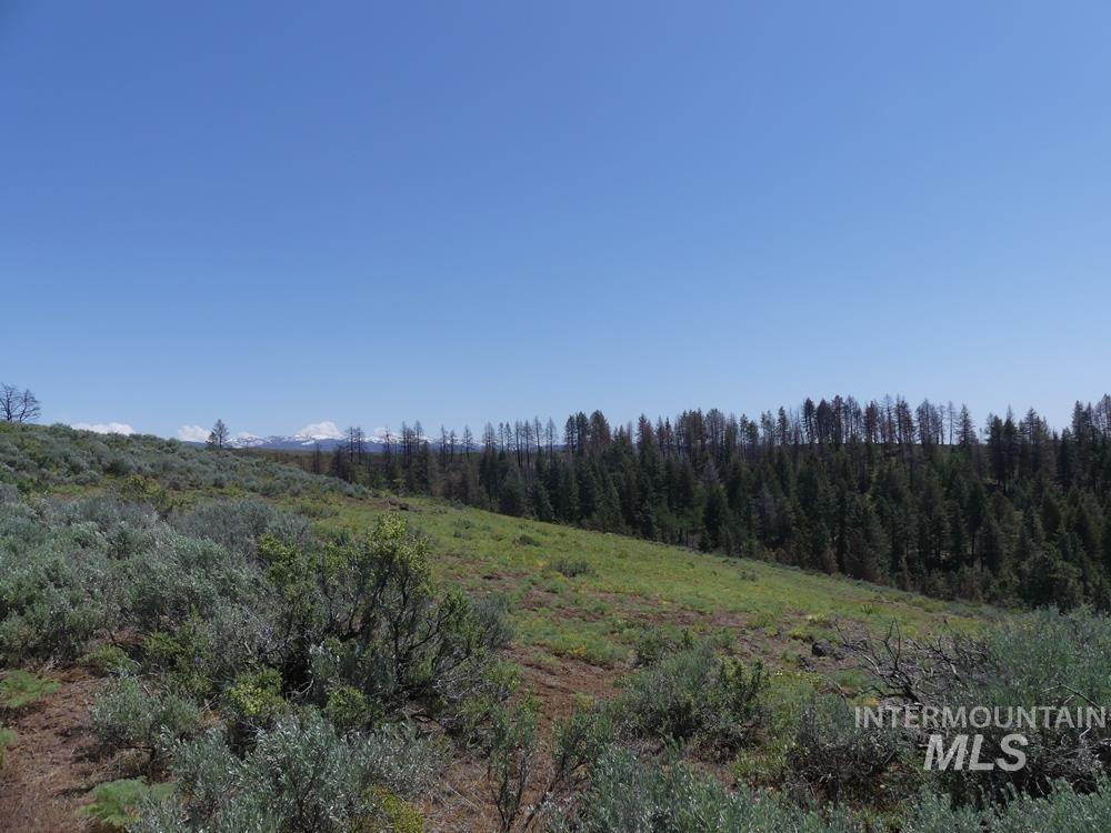 property viewer photo 11