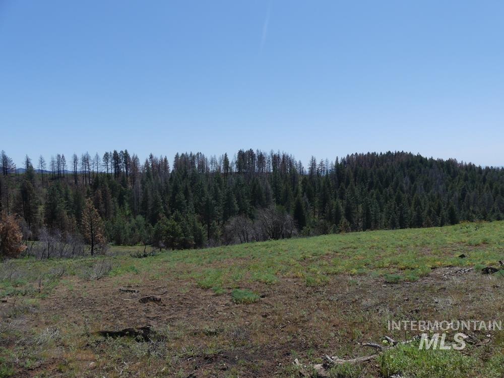 property viewer photo 14