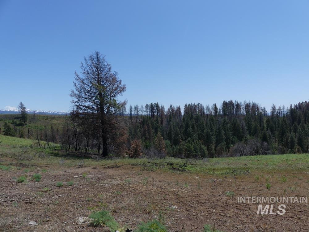property viewer photo 15