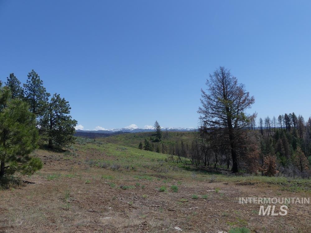 property viewer photo 16