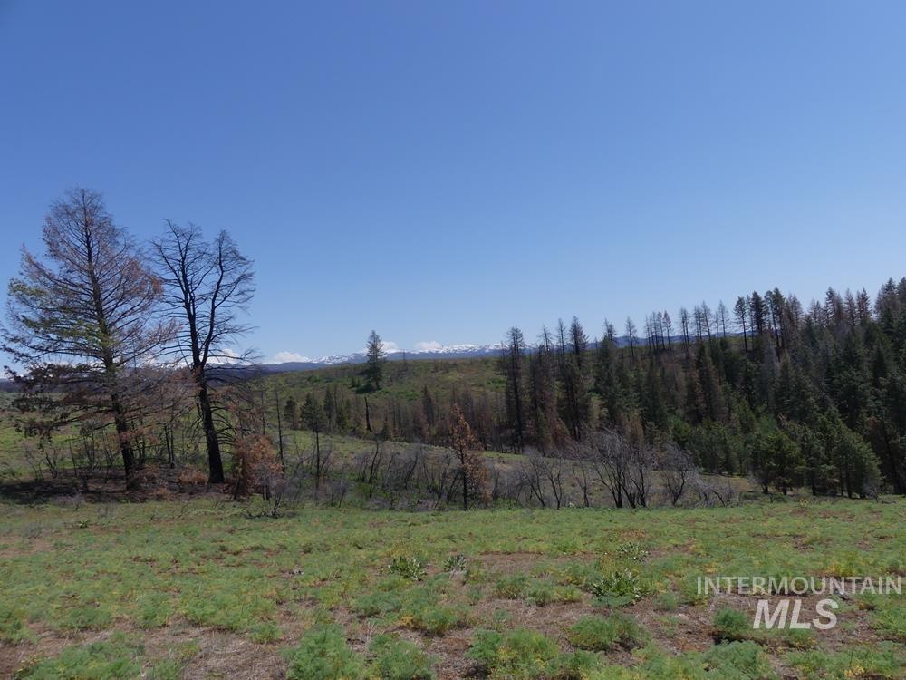 property viewer photo 22