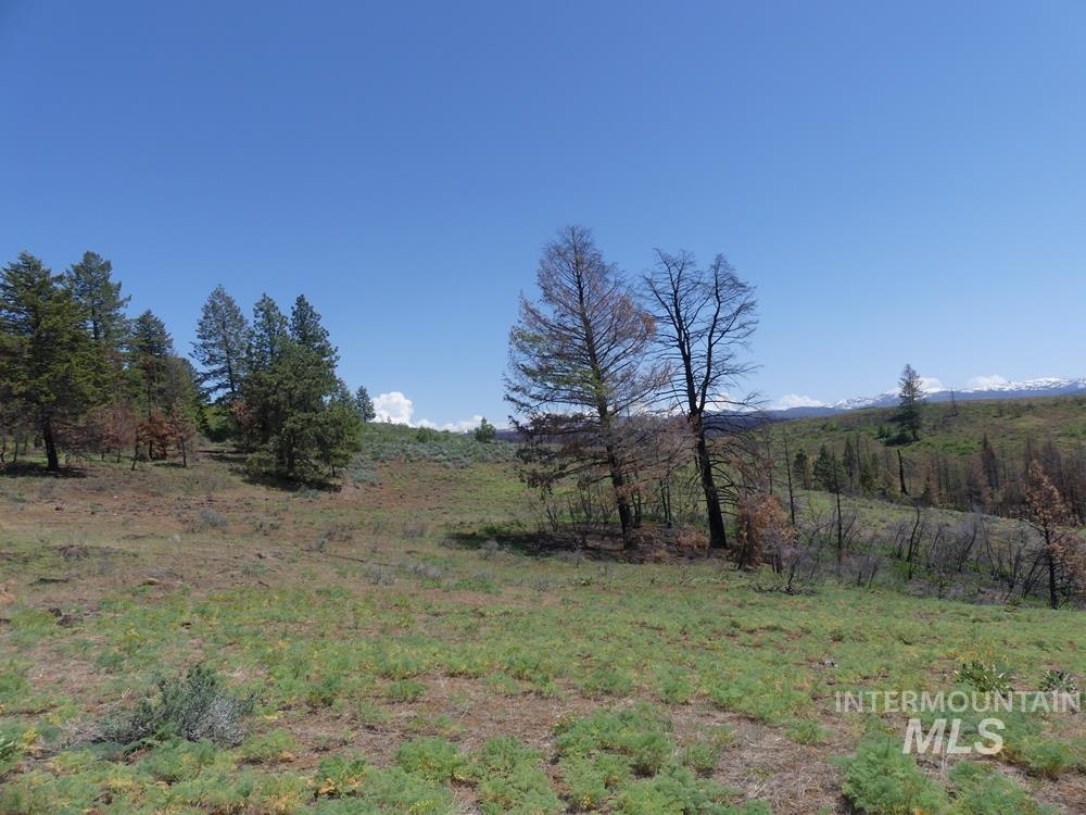 property viewer photo 23