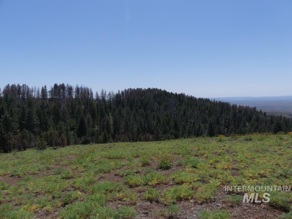 property viewer photo 24