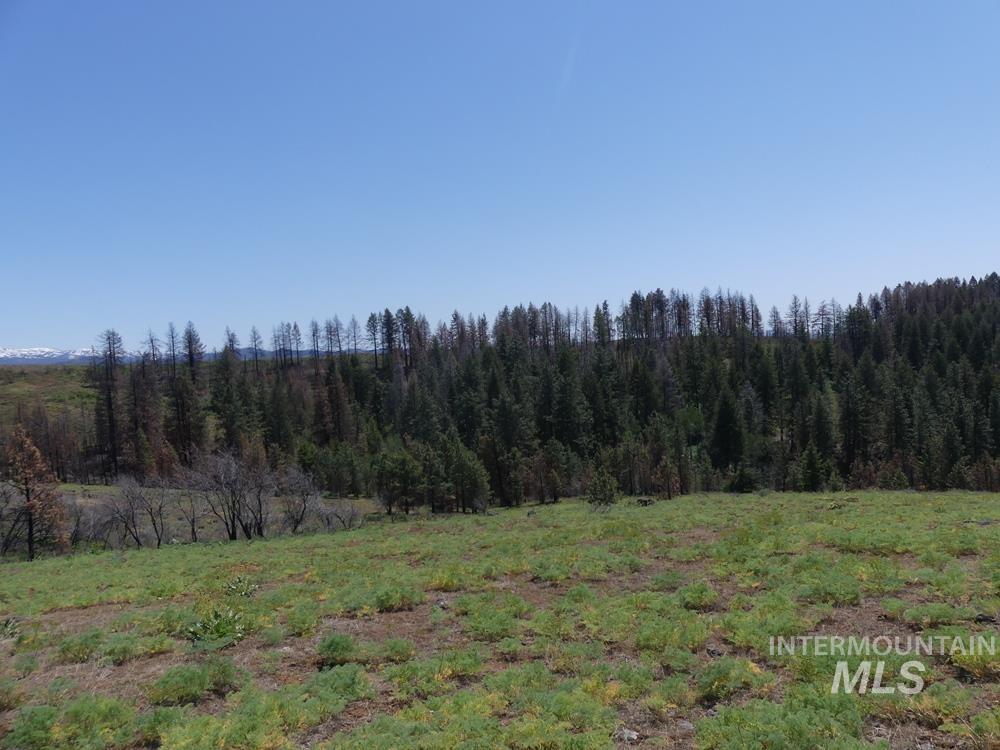 property viewer photo 25