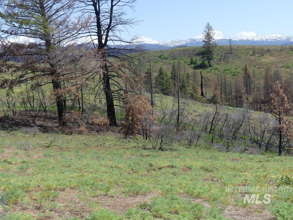 property viewer photo 26