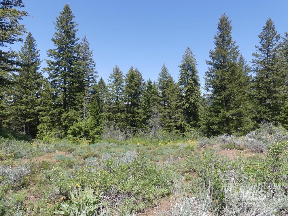property viewer photo 6