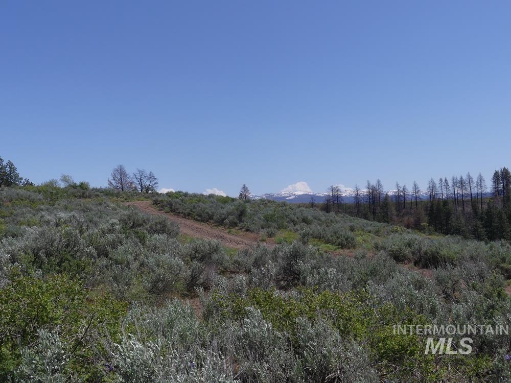 property viewer photo 7