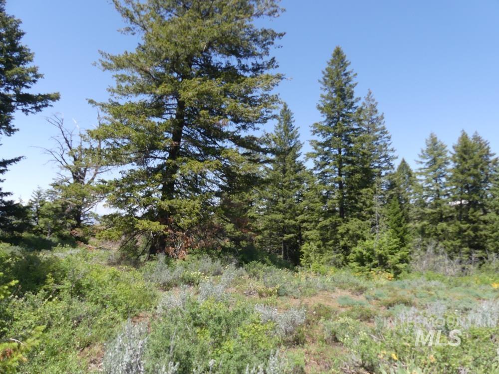 property viewer photo 8