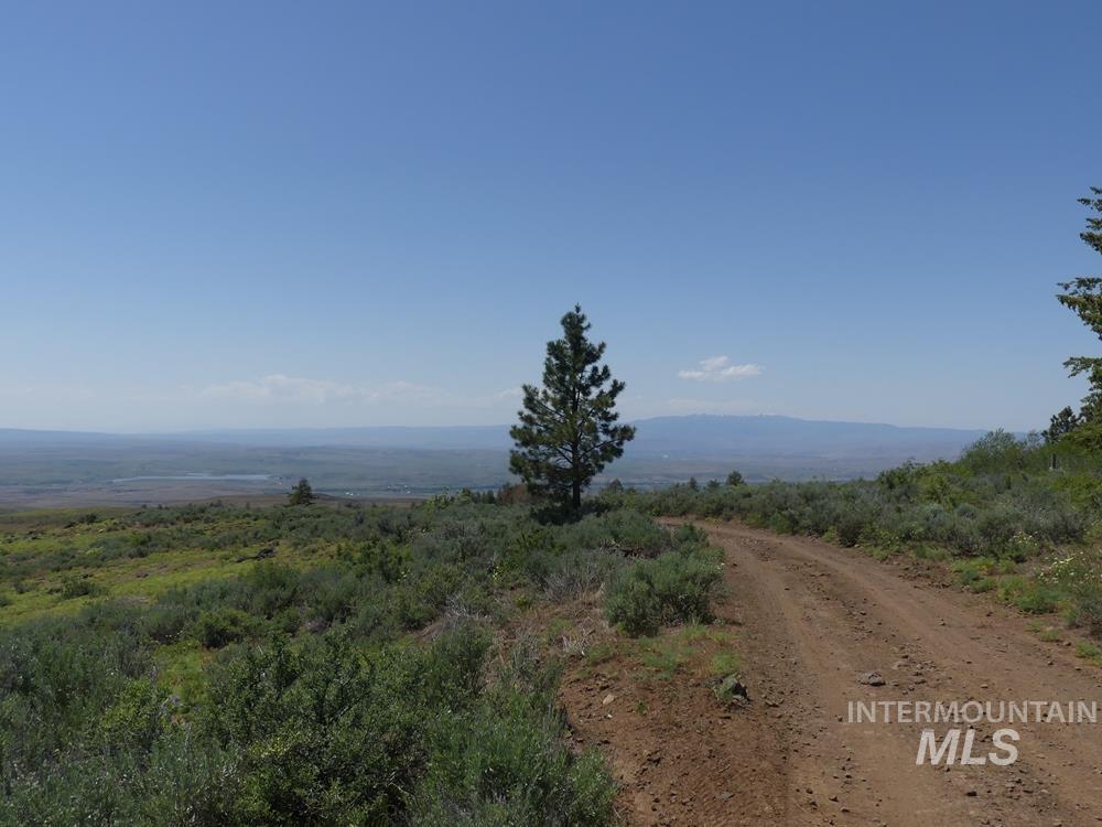 property viewer photo 9