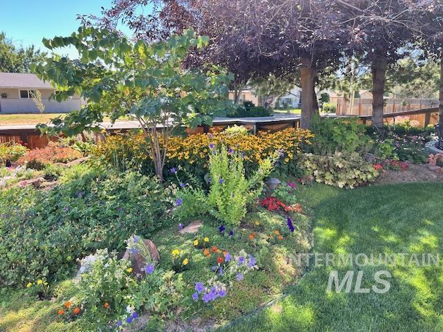 property viewer photo 4
