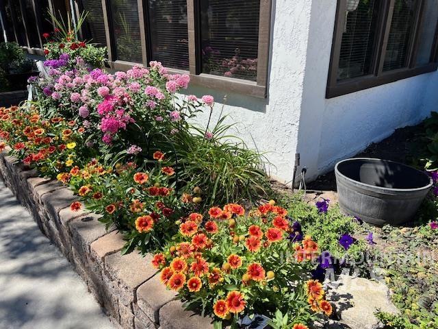 property viewer photo 5