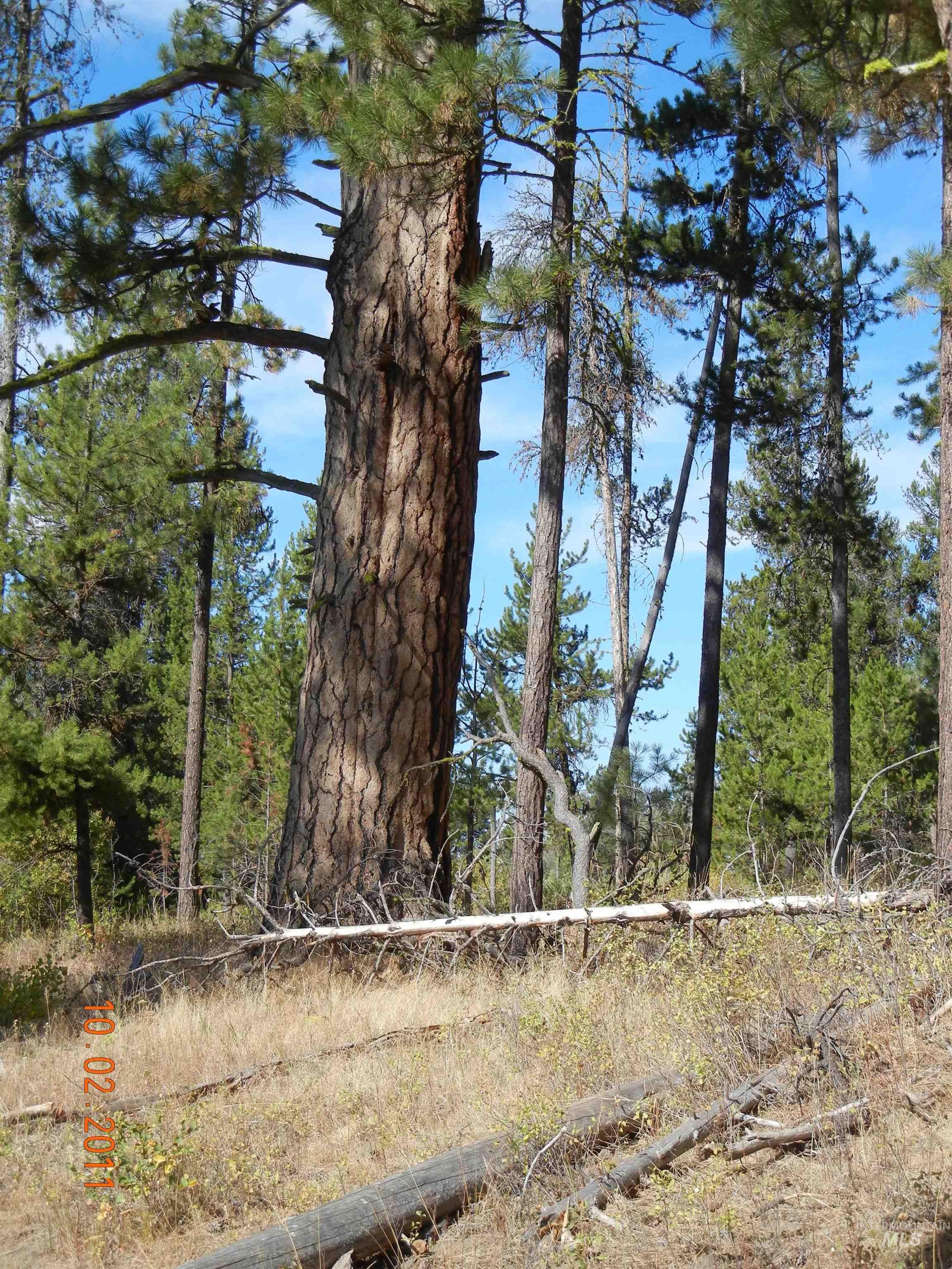 property viewer photo 18