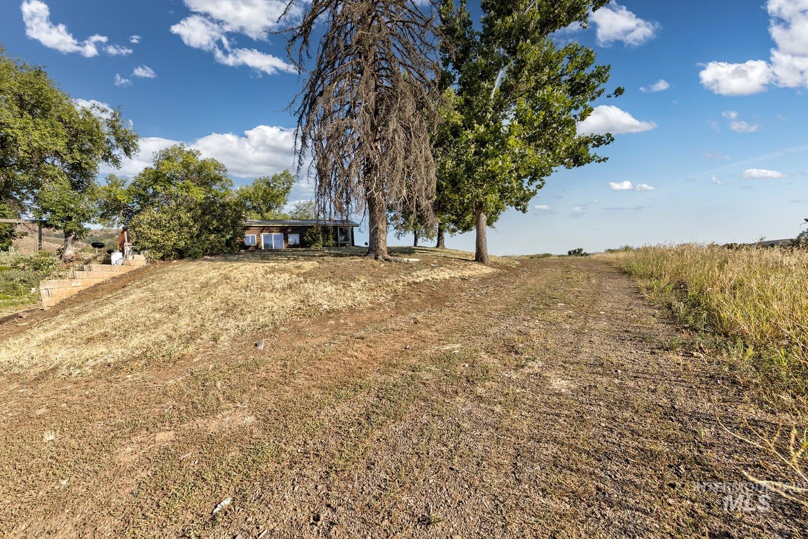main property photo 43