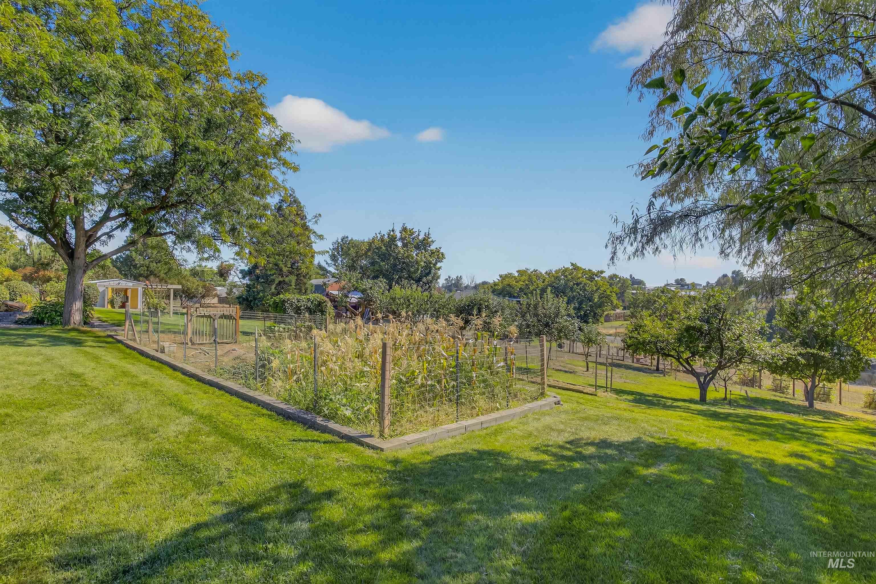 property viewer photo 44