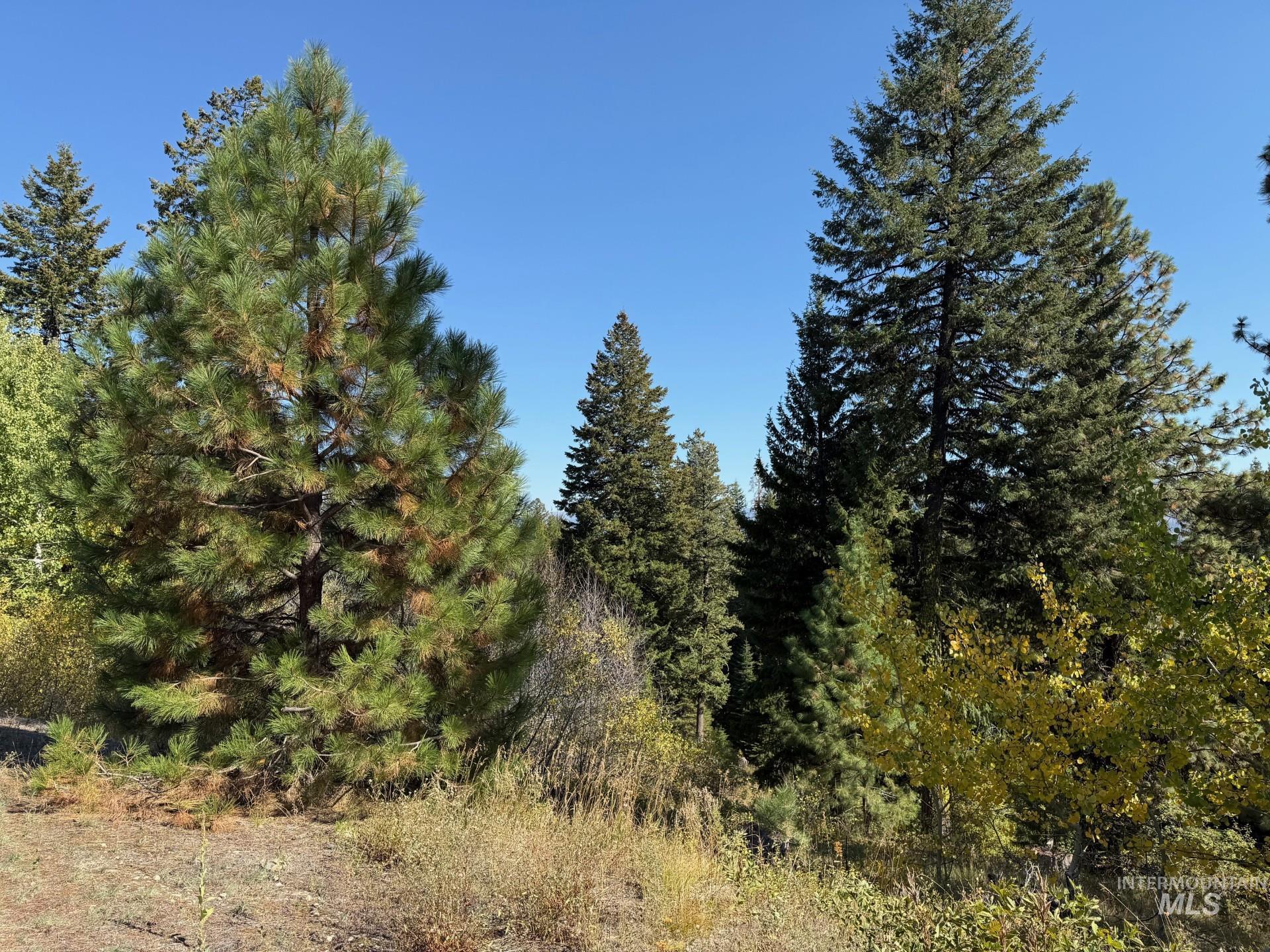 main property photo 12