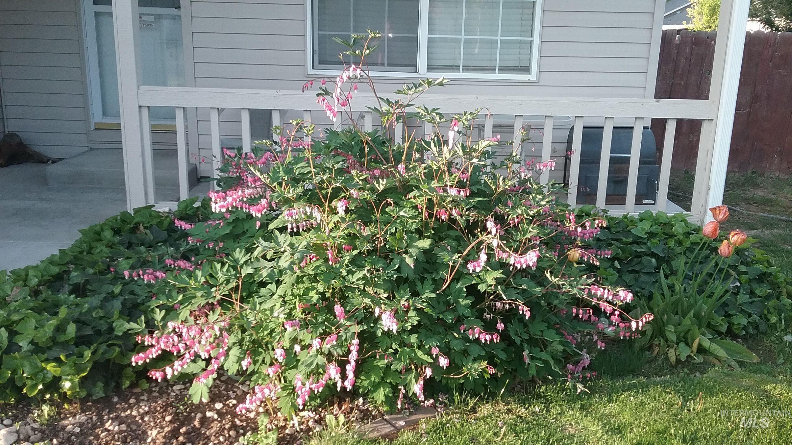 property viewer photo 35