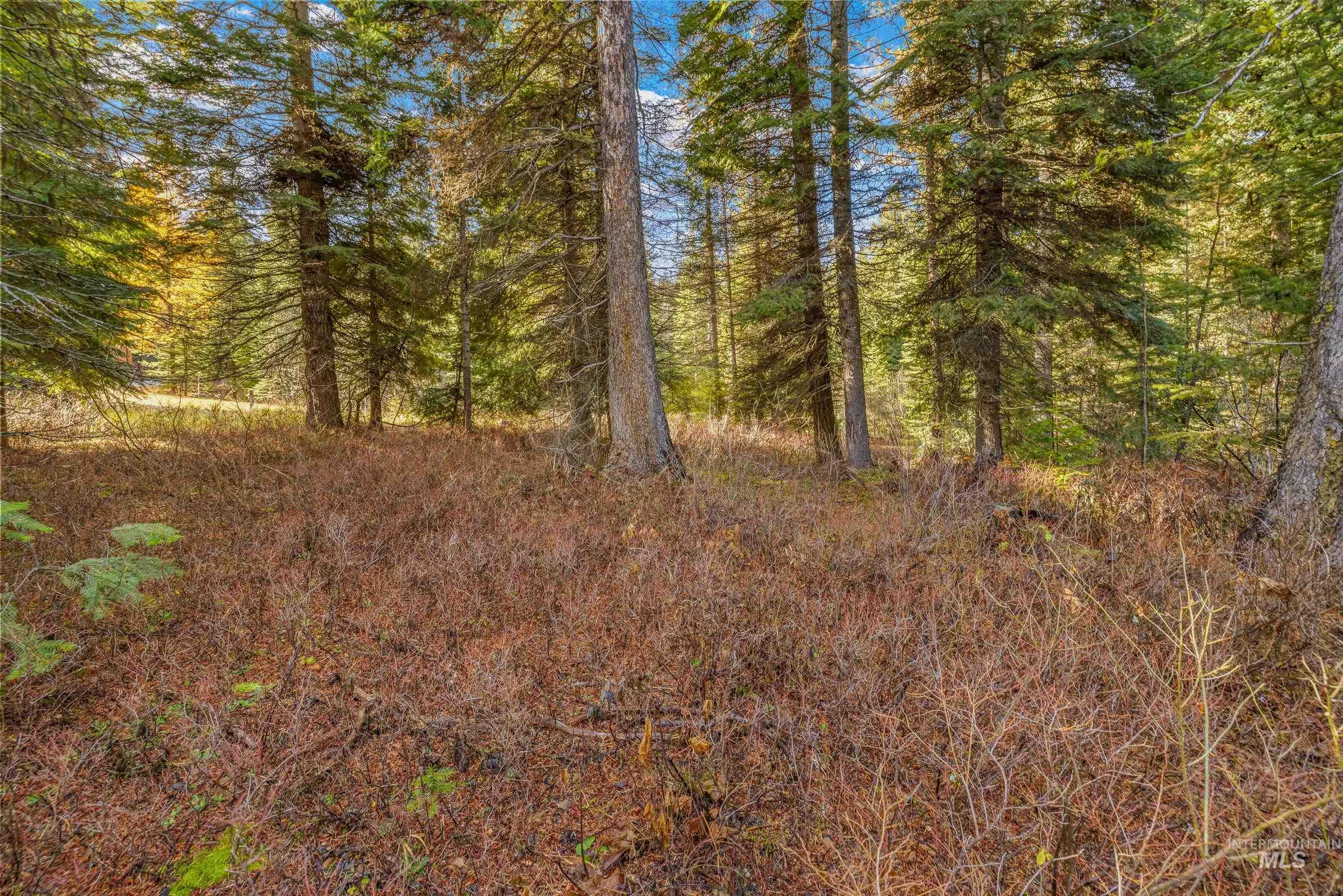 main property photo 9