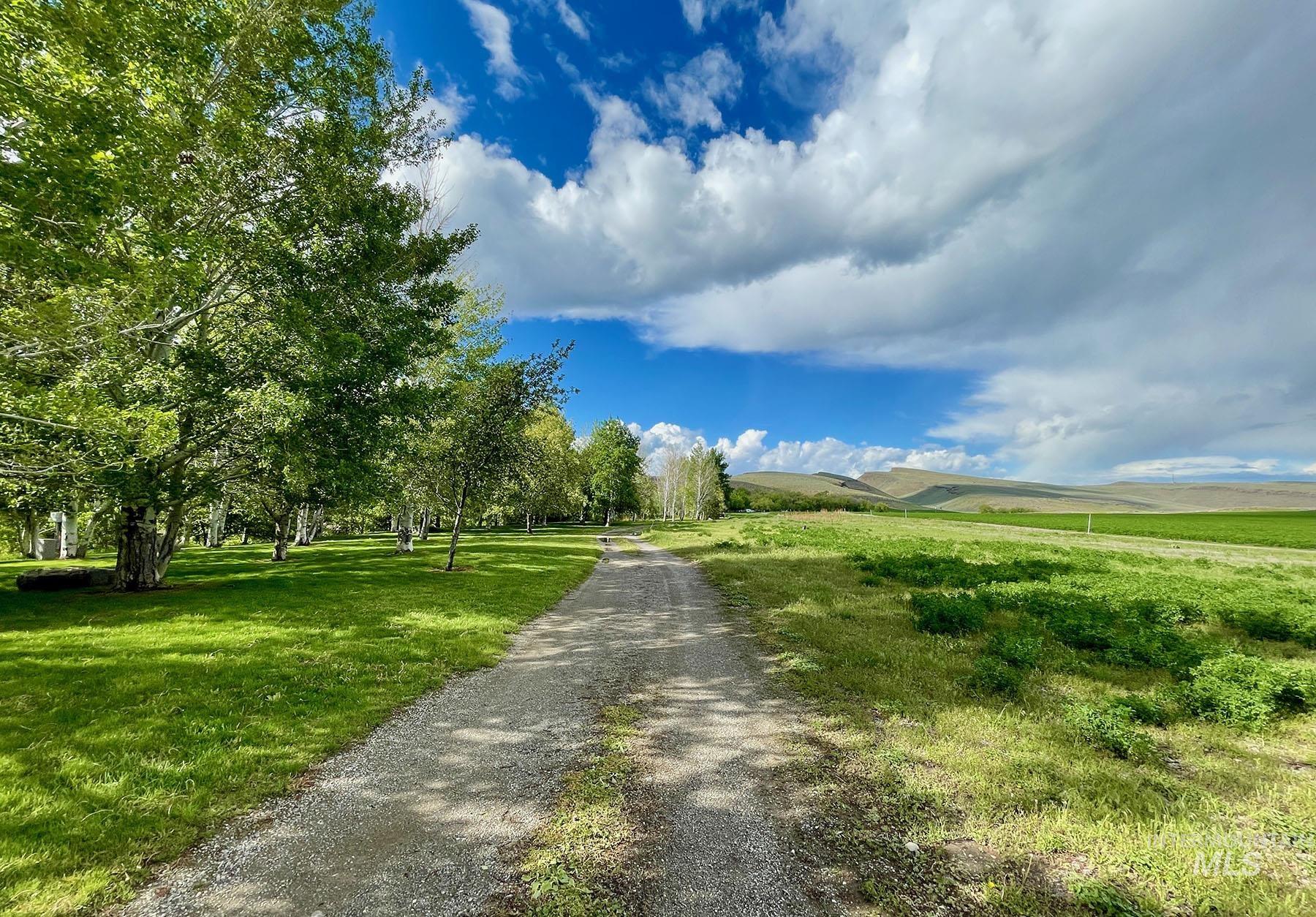 main property photo 46
