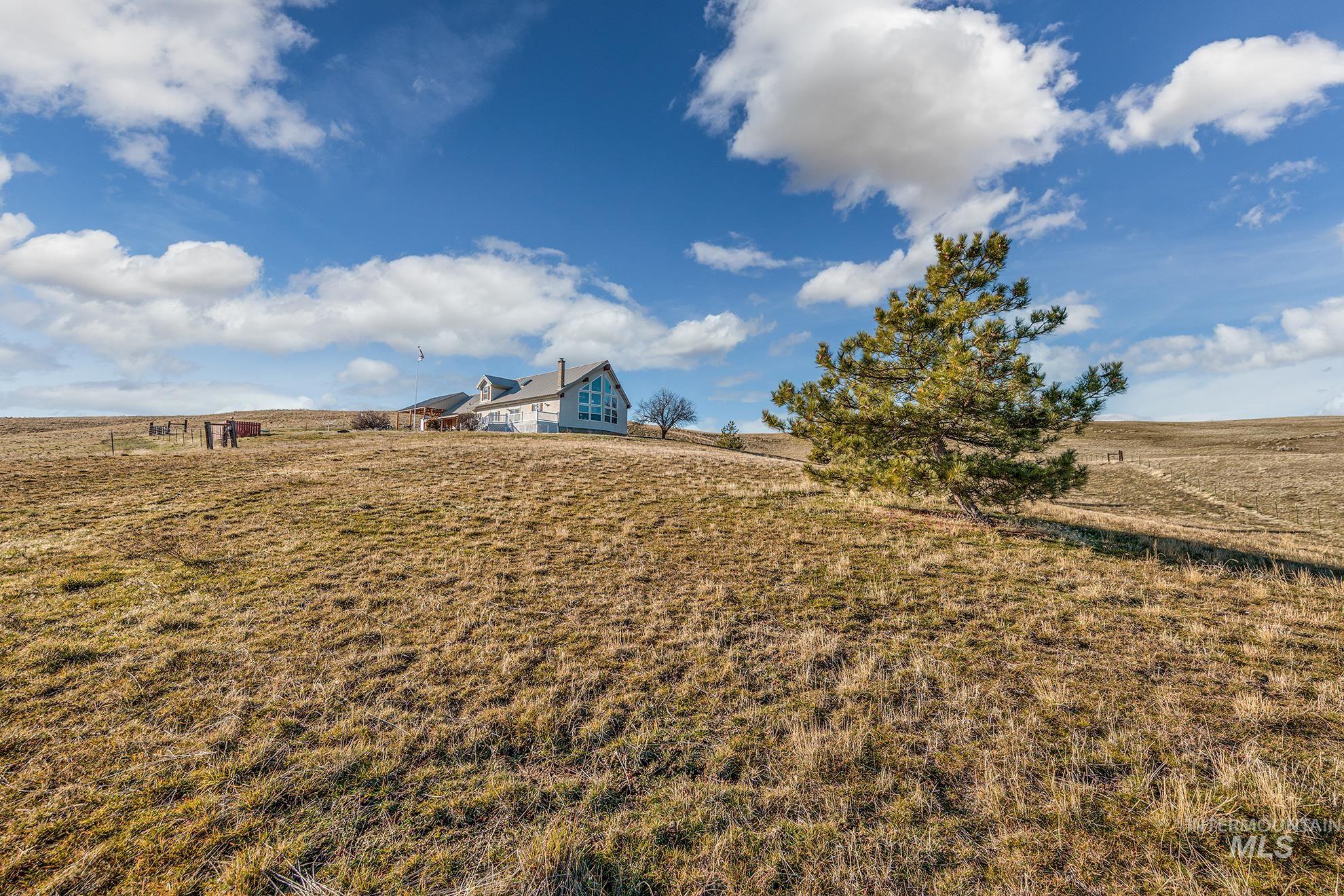 main property photo 39