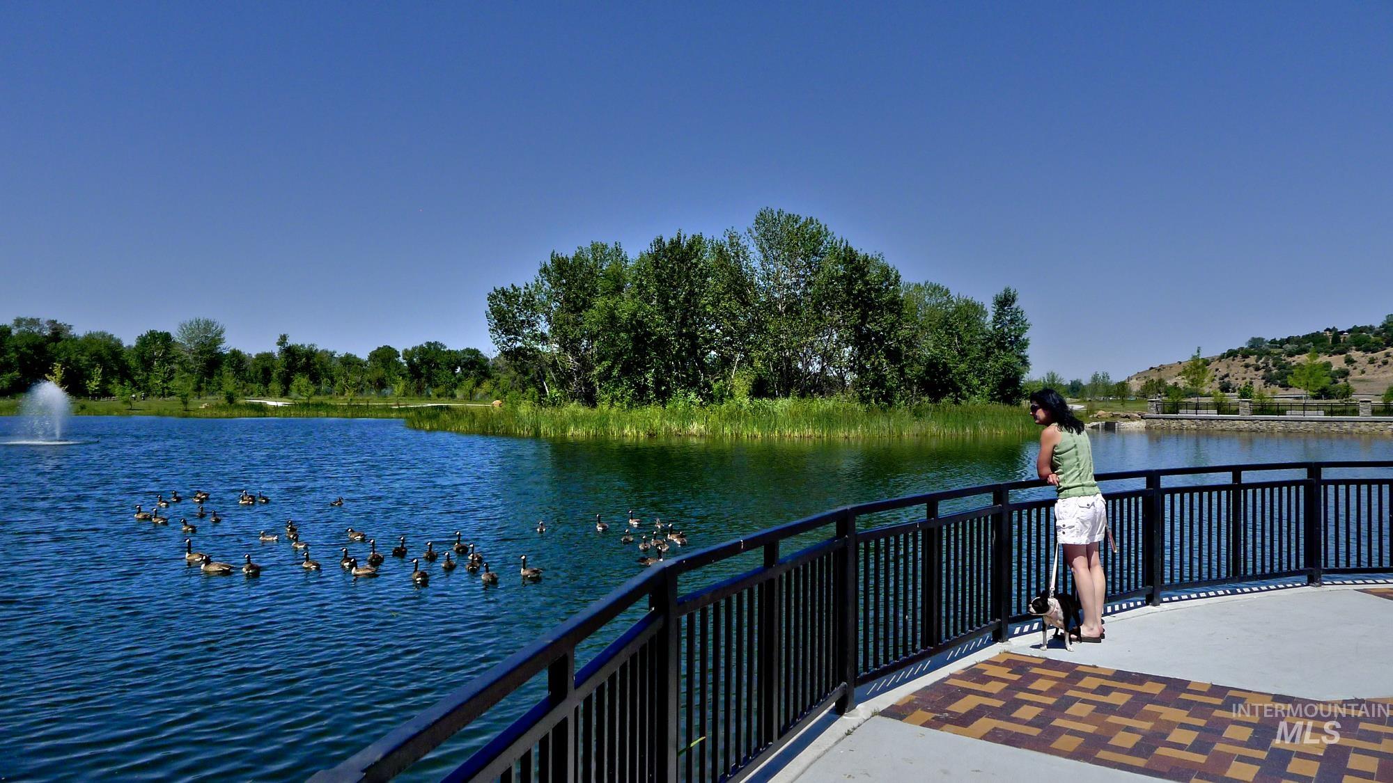 property viewer photo 35