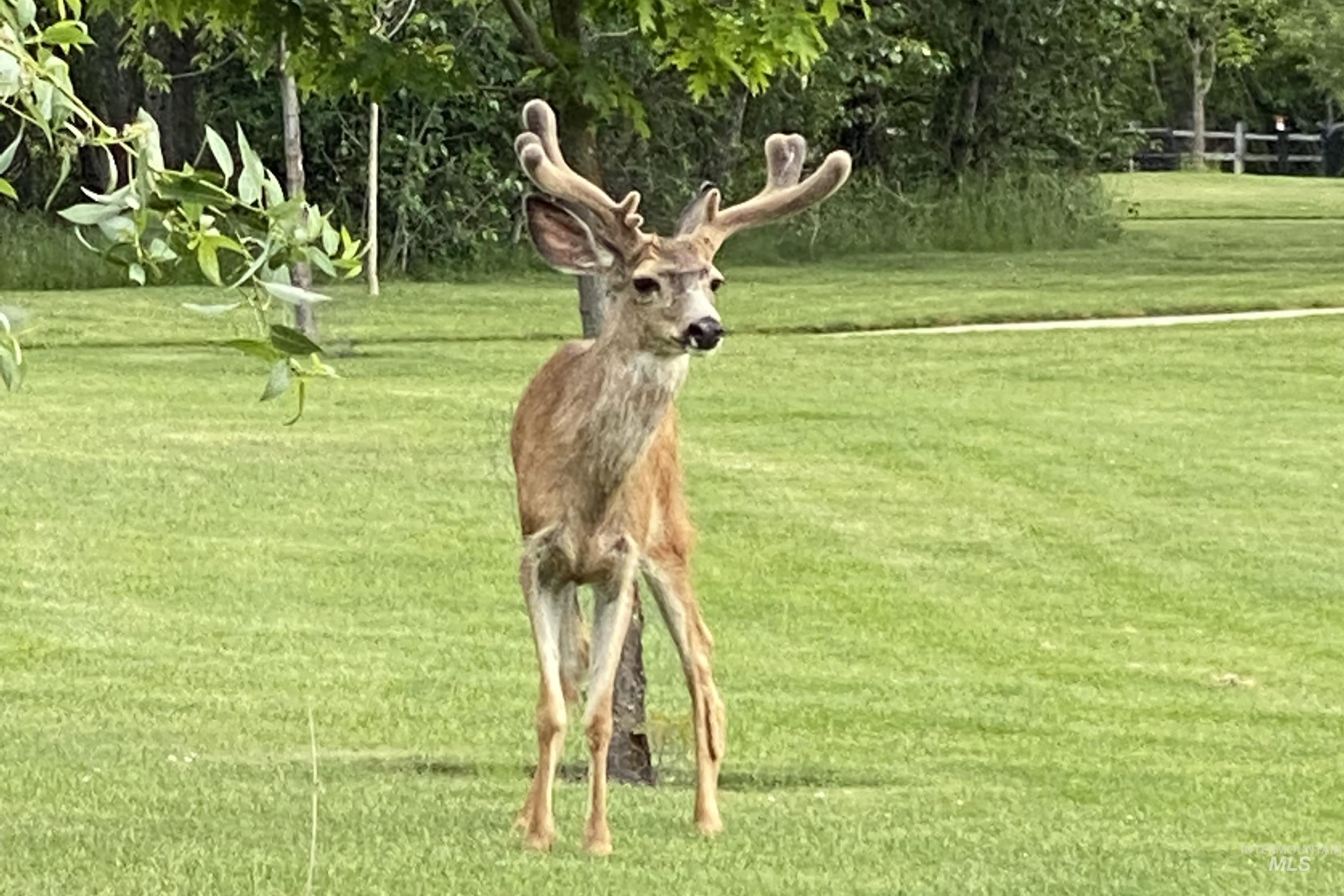 property viewer photo 48