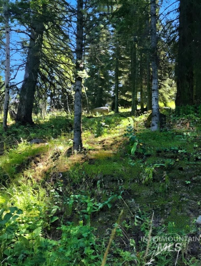 main property photo 11